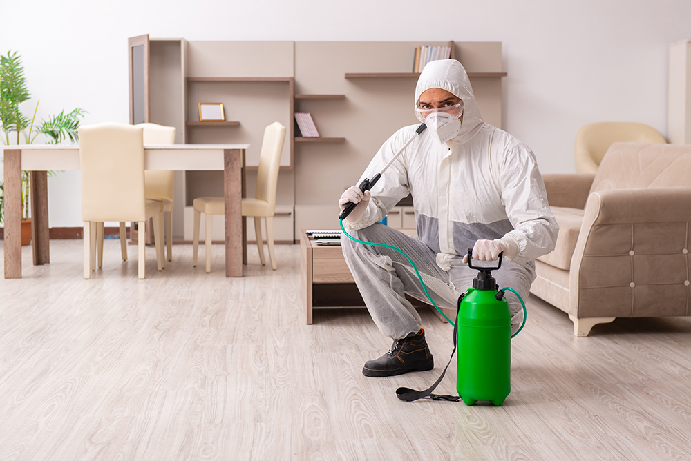 Professional pest control equipment